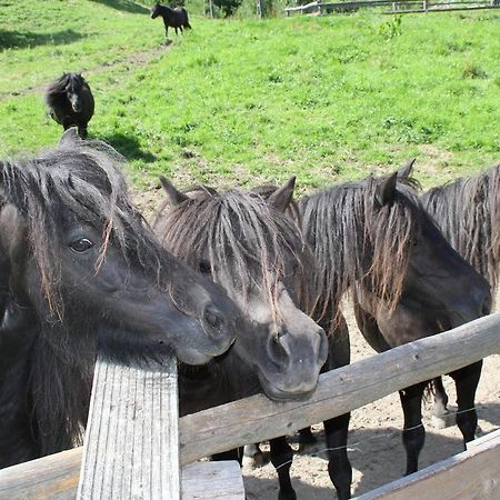 Rezydencja Leśny Dwór Piwniczna-Zdroj Exterior foto