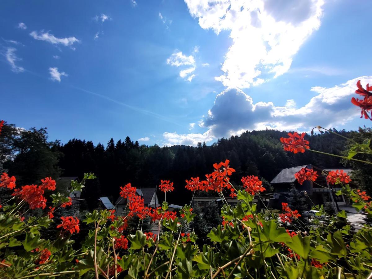 Rezydencja Leśny Dwór Piwniczna-Zdroj Exterior foto