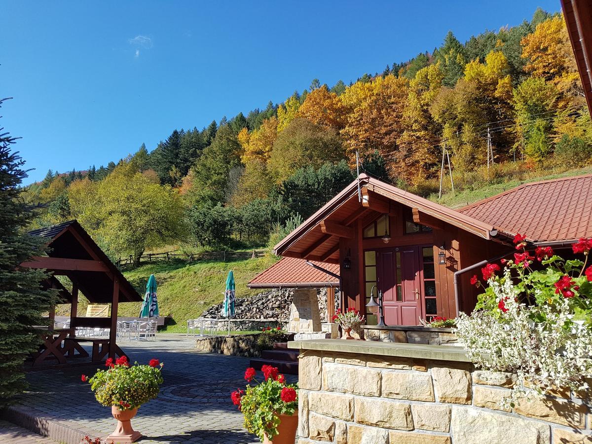 Rezydencja Leśny Dwór Piwniczna-Zdroj Exterior foto