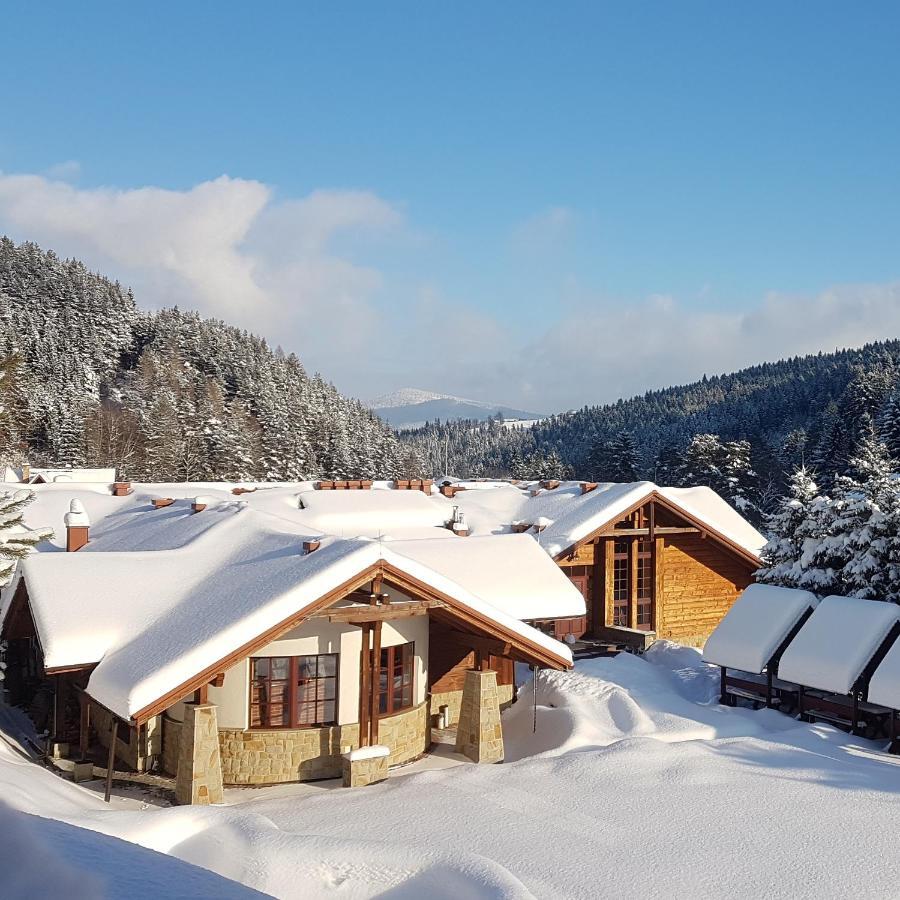 Rezydencja Leśny Dwór Piwniczna-Zdroj Exterior foto
